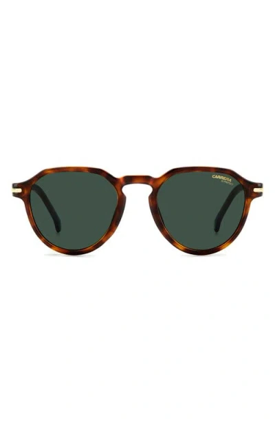 Carrera Eyewear 50mm Round Sunglasses In Havana/green