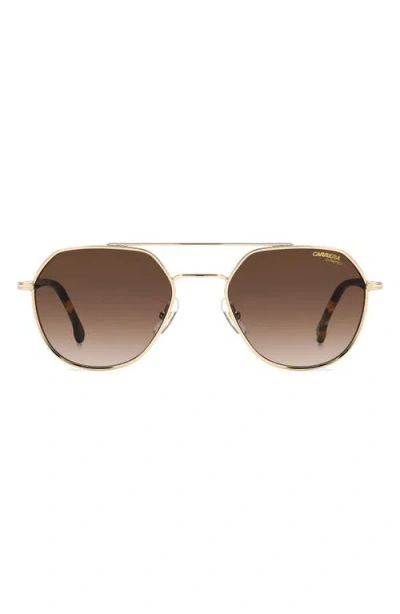 Carrera Eyewear 53mm Round Sunglasses In Gold Havana/brown
