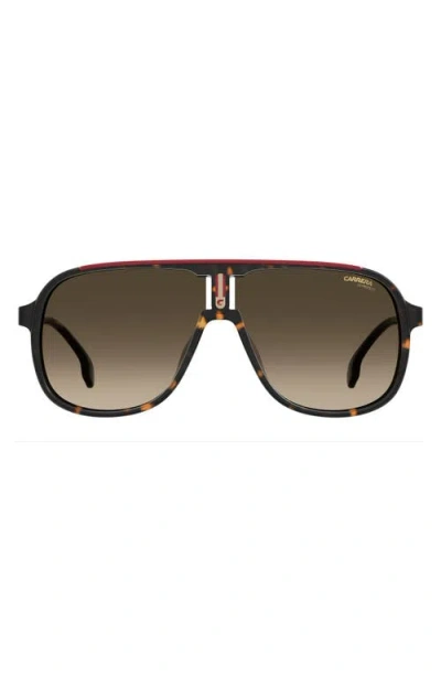 Carrera Eyewear 62mm Oversize Gradient Square Sunglasses In Brown