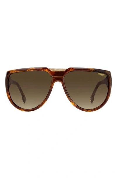 Carrera Eyewear 62mm Oversize Round Sunglasses In Brown