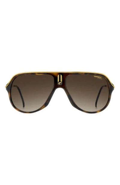 Carrera Eyewear Safari 62mm Oversize Gradient Rectangular Sunglasses In Brown
