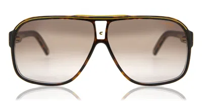 Carrera Grand Prix 2 086/ha Men's Sunglasses Tortoiseshell Size 64 In Brown