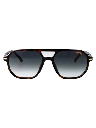 Carrera Havana Gold Acetate Sunglasses In Black