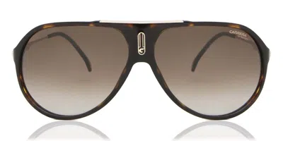 Carrera Hot65 086/ha Occhiali Da Sole Tartarugatishell Per Uomo In Brown