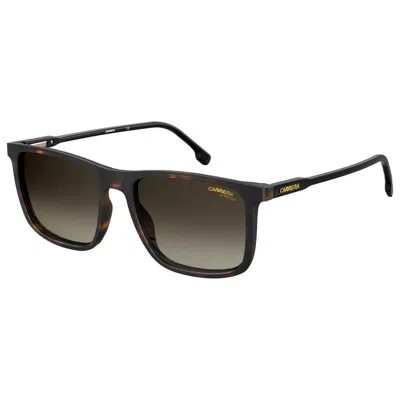 Carrera Injected Sunglasses In Black
