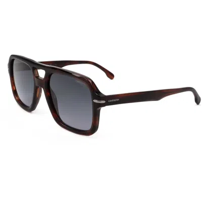 Carrera Men's 55mm Brown Horn Sunglasses