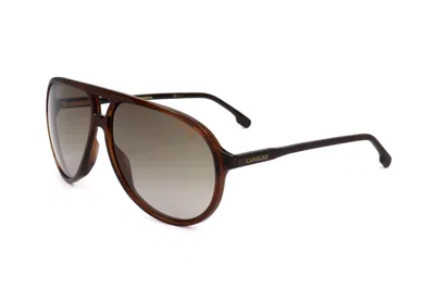 Carrera Men's 61 Mm Brown Sunglasses