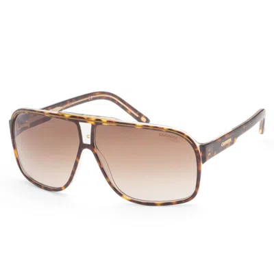 Carrera Men's 64mm Havana Sunglasses In Brown