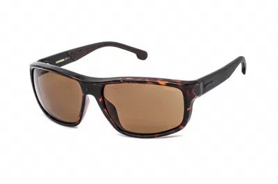 Carrera Men's 8038/s Sunglasses In Dark Havana / Brown Polarized In Multi