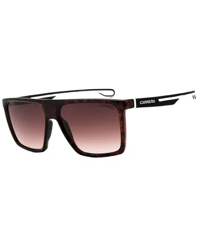 Carrera Men's 4019 58mm  Sunglasses In Brown