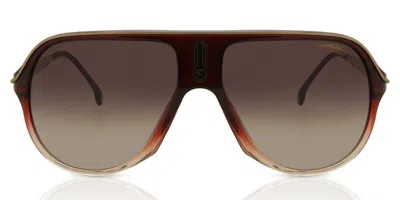 Carrera Safari65/n 7w5/ha Men's Sunglasses Burgundy Size 62 In Brown