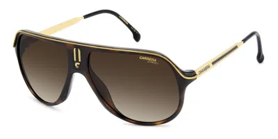 Carrera Safari/s 086/ha Men's Sunglasses Tortoiseshell Size 62 In Brown