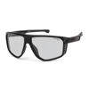 Carrera Sunglasses In Black