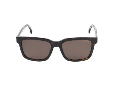 Carrera Sunglasses In Brown
