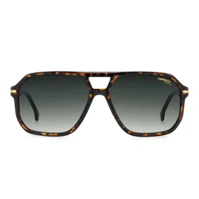 Carrera Sunglasses In Brown