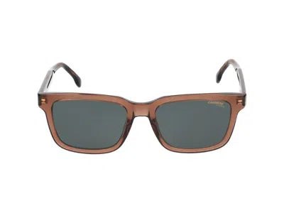 Carrera Sunglasses In Brown