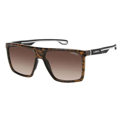 Carrera Tortoiseshell Square Frame Sunglasses In Blue