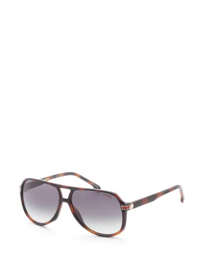 Carrera 톨토이즈셸 이펙트 파일럿 프레임 선글라스 In Brown