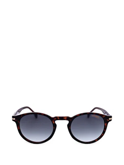 Carrera 톨토이즈셸 이펙트 라운드 프레임 선글라스 In Brown