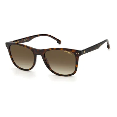 Carrera Unisex 51mm Havana Sunglasses In Brown