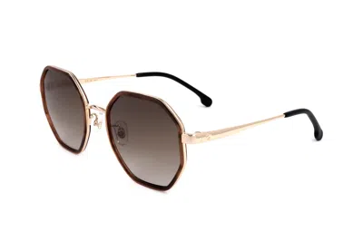 Carrera Unisex 53 Mm Brown Horn Sunglasses In Multi