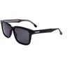 Carrera Unisex 53 Mm Grey Sunglasses
