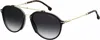 Carrera Unisex Aviator Sunglasses In Black Havana/dark Grey Gradient/gold In Multi