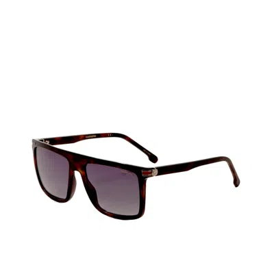 CARRERA UNISEX HAVANA 58MM SUNGLASSES