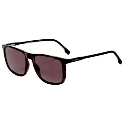 Carrera Unisex Sunglasses