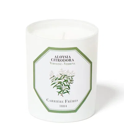 Carriere Freres Carrière Frères Aloysia Citrodora - Verbena 185g In White