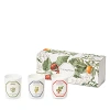 CARRIERE FRERES BOTANICAL CANDLE GIFT BOX, SET OF 3