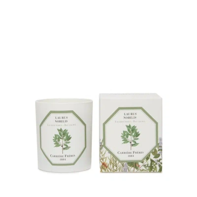 Carriere Freres Bougie Parfumée Laurier Noble - Laurus Nobilis - 185 G