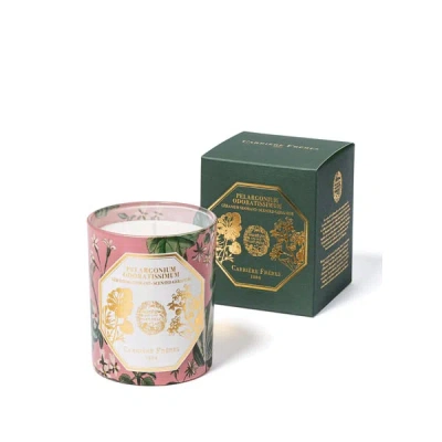 Carriere Freres Pelargonium Odoratissimum Scented Candle - Geranium In Pink