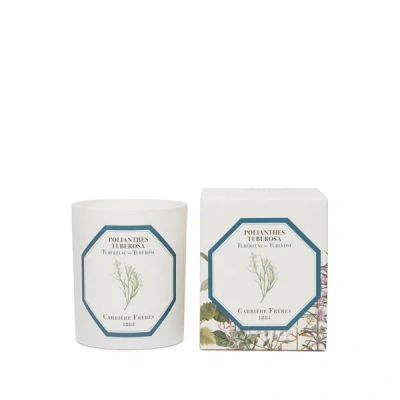 Carriere Freres Bougie Parfumée Tubéreuse - Polientes Tuberosa - 185 G