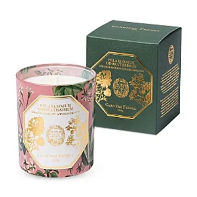 Carriere Freres Geranium Scented Candle, 6.5 Oz. In Multi