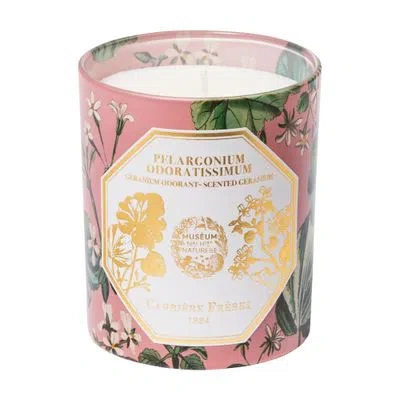 Carriere Freres Scented Candle Pelargonium Odoratissimum - Scented Geranium - 185 G In Pink