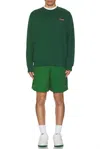 Carrots Hand Picked Crewneck Sweatshirt In Forest Green