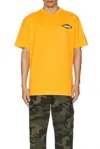 Carrots Hand Picked Tee In Squash