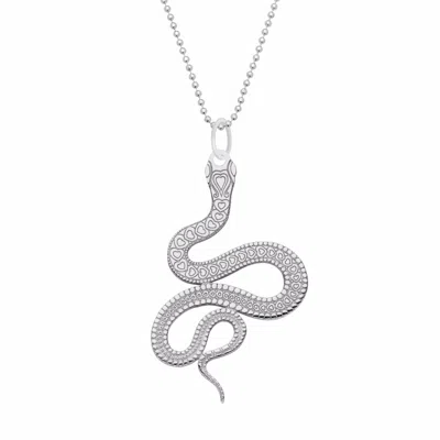 Cartergore Women's Large Silver Snake Pendant Necklace