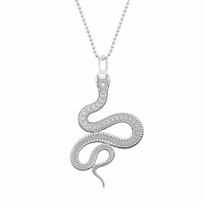 Cartergore Women's Large Silver Snake Pendant Necklace In Metallic