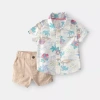 Carter's Baby Boys 2-pc. Short Set In Multi