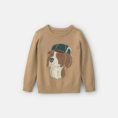Carter's Little & Big Kid Boys Crew Neck Long Sleeve Pullover Sweater In Brown