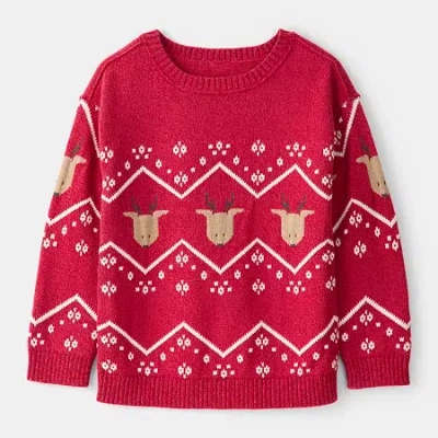 Carter's Little & Big Kid Boys Holiday Round Neck Long Sleeve Pullover Sweater In Blue