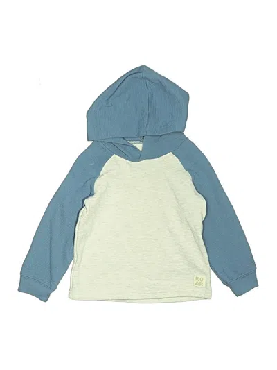 Pre-owned Carter's Kids' Pullover Hoodie In Blue