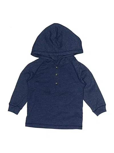 Pre-owned Carter's Kids' Pullover Hoodie In Blue