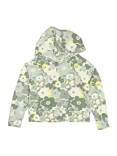 Pre-owned Carter's Kids' Pullover Hoodie In Green