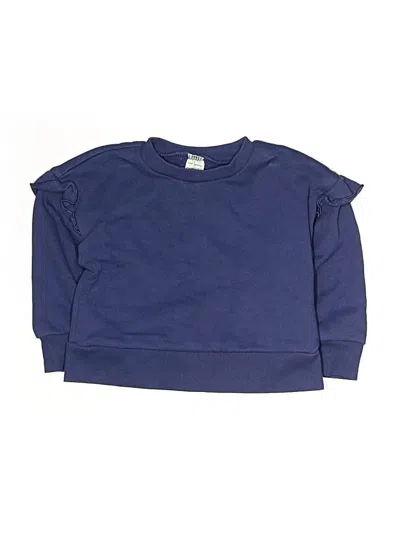 Pre-owned Carter's Kids' Sweatshirt In Blue