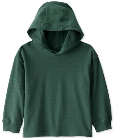 Carter's Babies' Toddler Boys Cotton Long-sleeve Hooded Top In Green