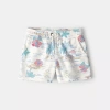 Carter's Toddler Boys Pull-on Short In Multi