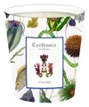 Carthusia I Profumi Di Capri A&#039;mmare Candle 300 G In White